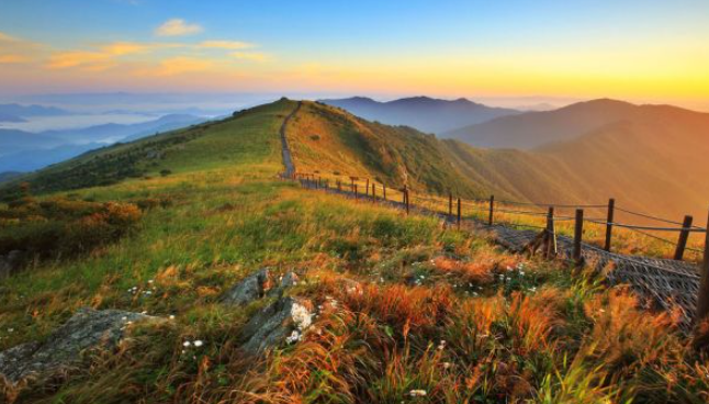 2025 가을 소백산 단풍 절정 & 등산코스 가이드 ❘ 비로봉·천동 코스·주차장 정보