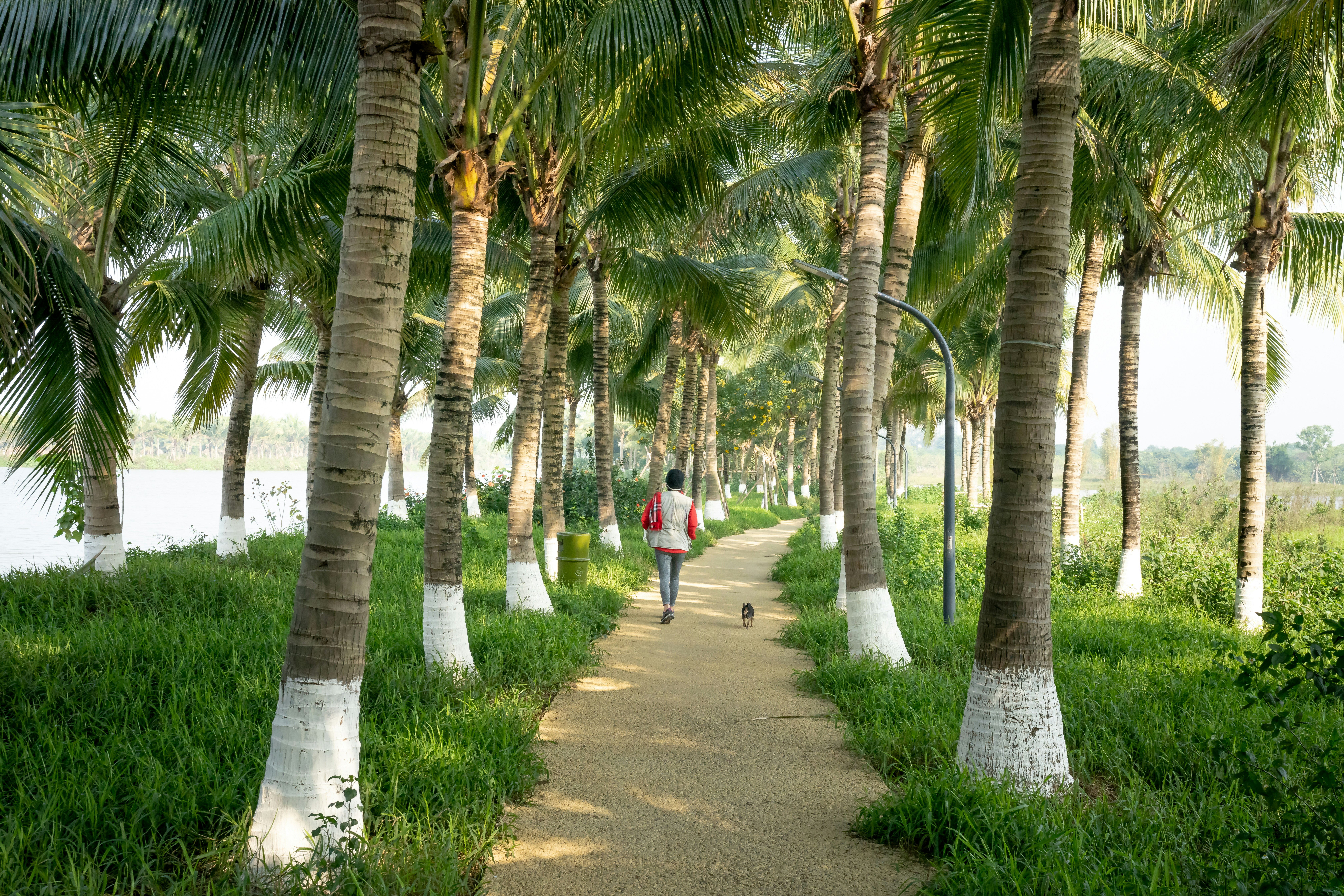 환경