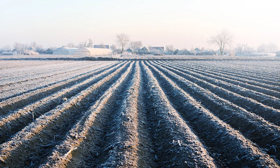 다음해 농사준비