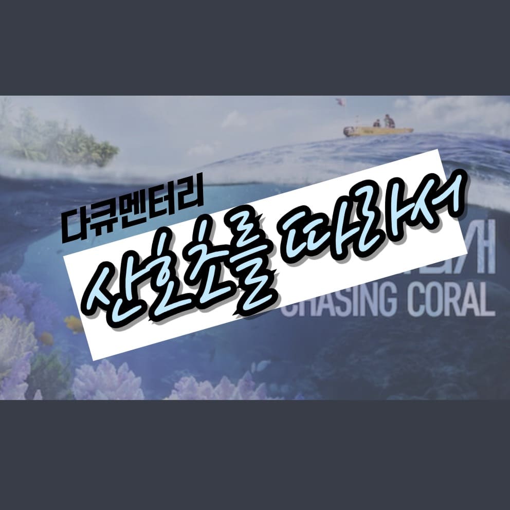 산호초를 따라서