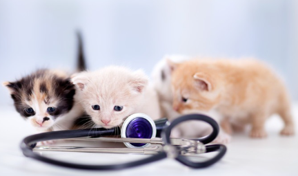 치료가 필요하다.