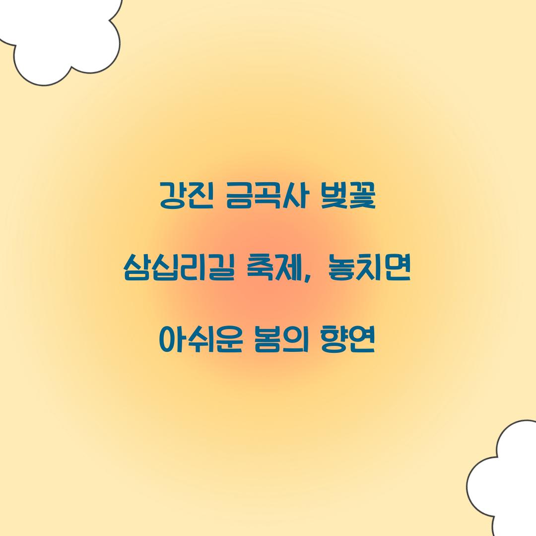 강진 금곡사 벚꽃 삼십리길 축제