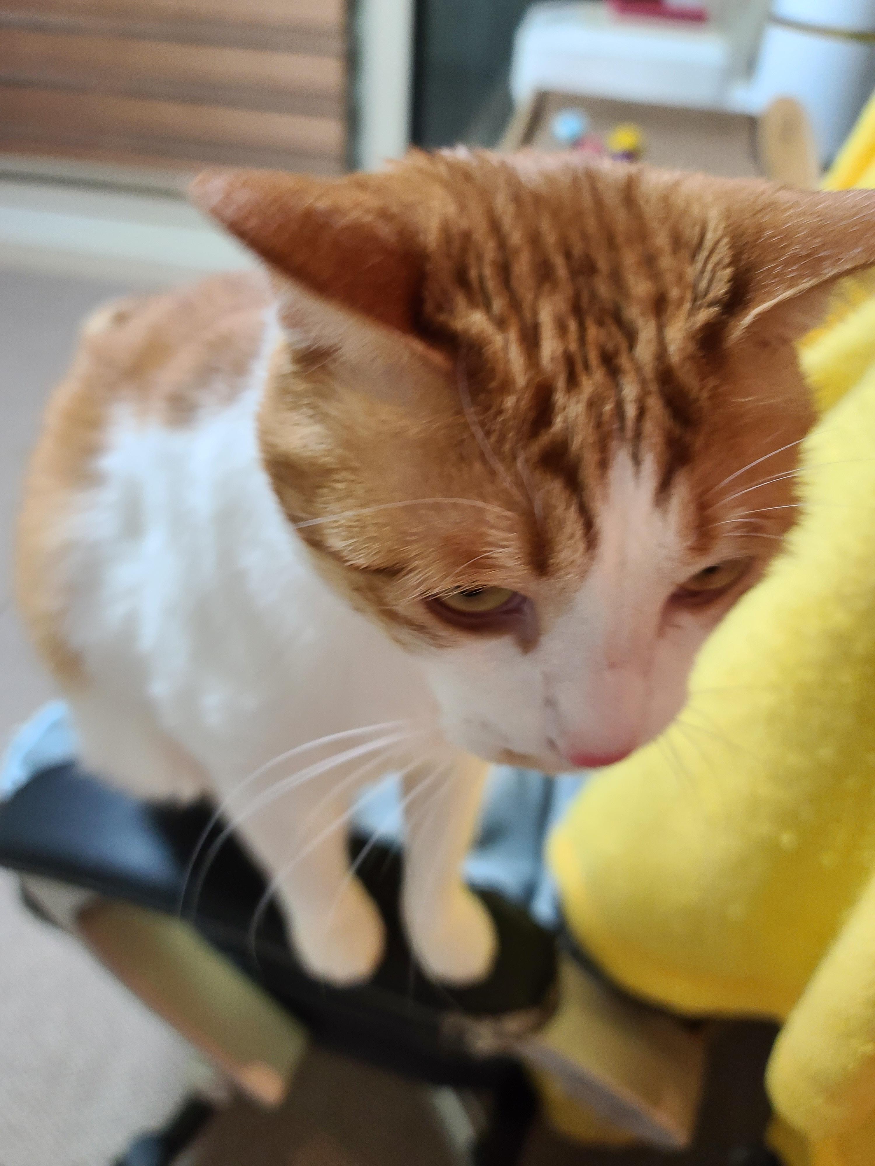 그날이 다가왔다! 아이들 화장실모래전체갈이!!