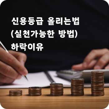 신용등급 올리는법 하락이유