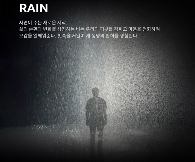 아르떼뮤지엄