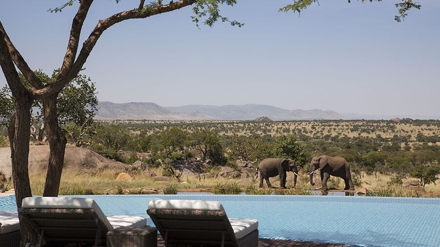 포시즌 사파리 로지 세렝게티, 탄자니아