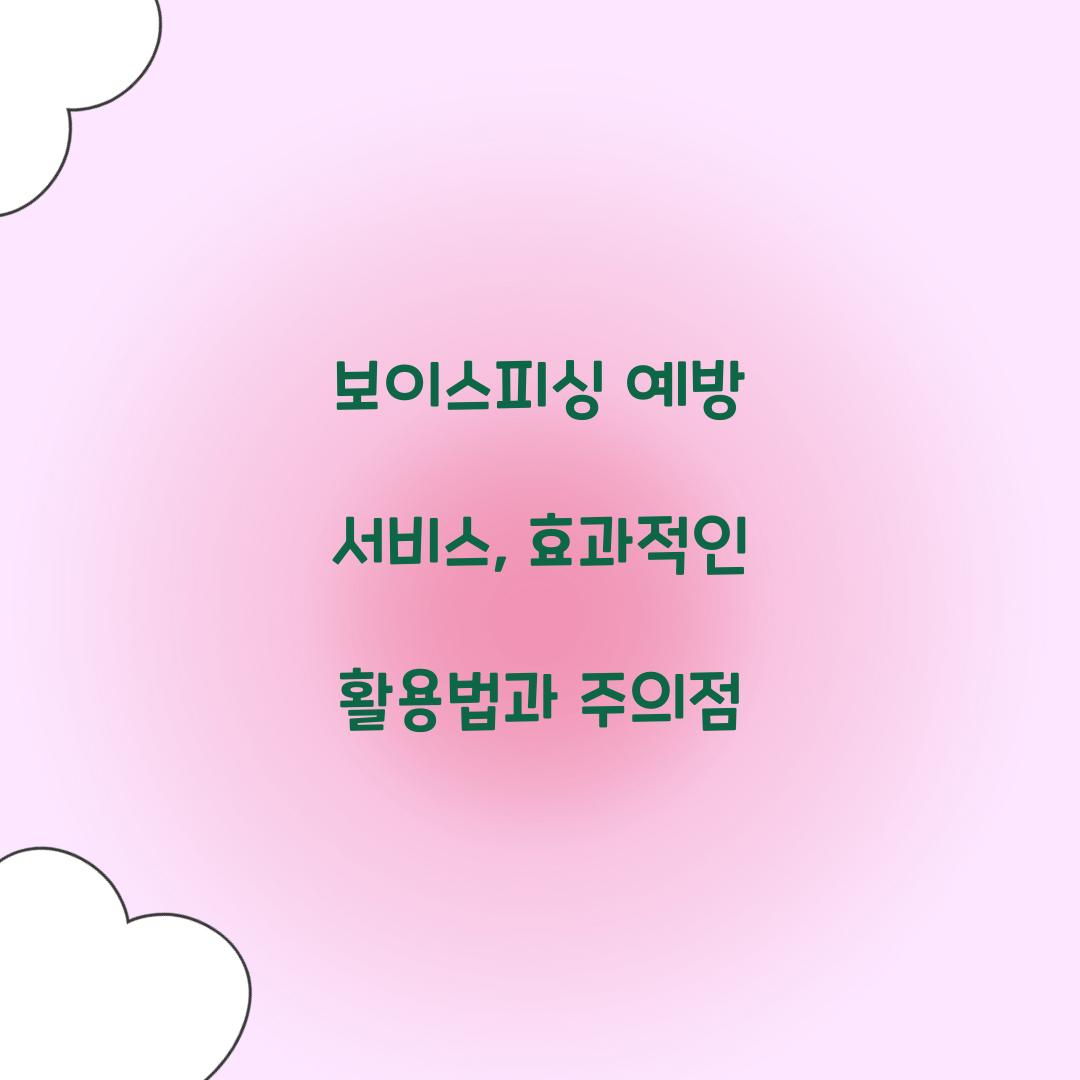 보이스피싱 예방 서비스