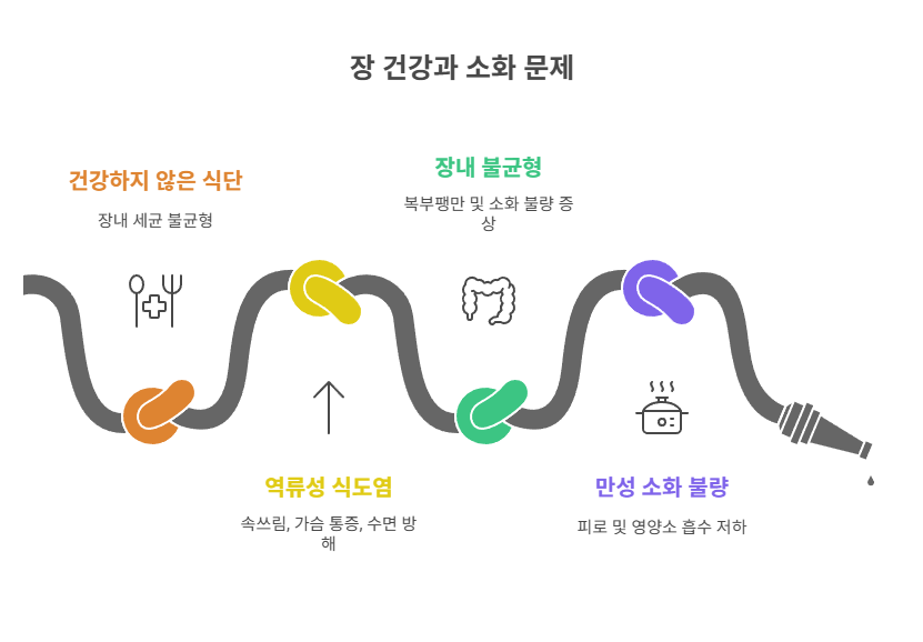 장 건강과 소화 문제