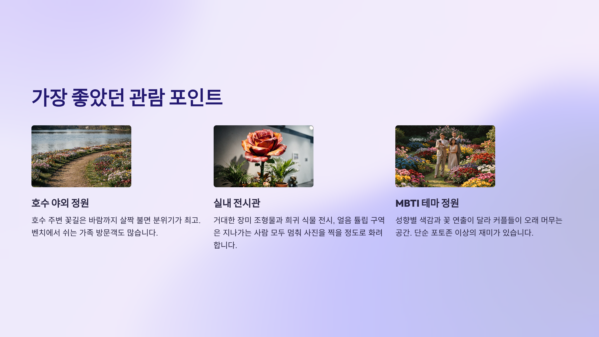 실제 가보니 가장 좋았던 관람 포인트
