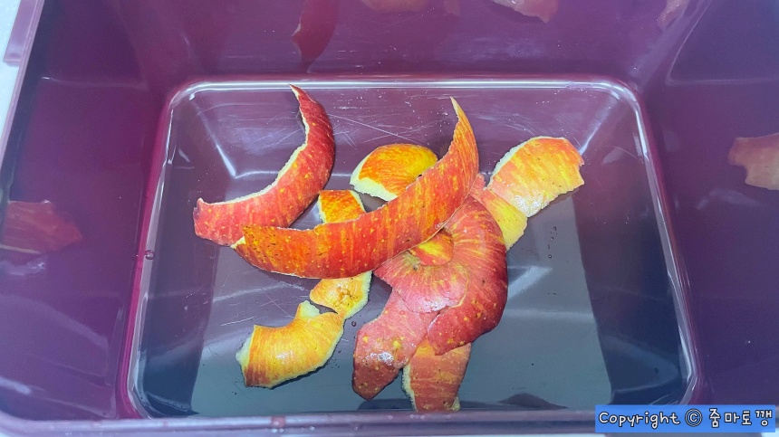 김치통에-넣기