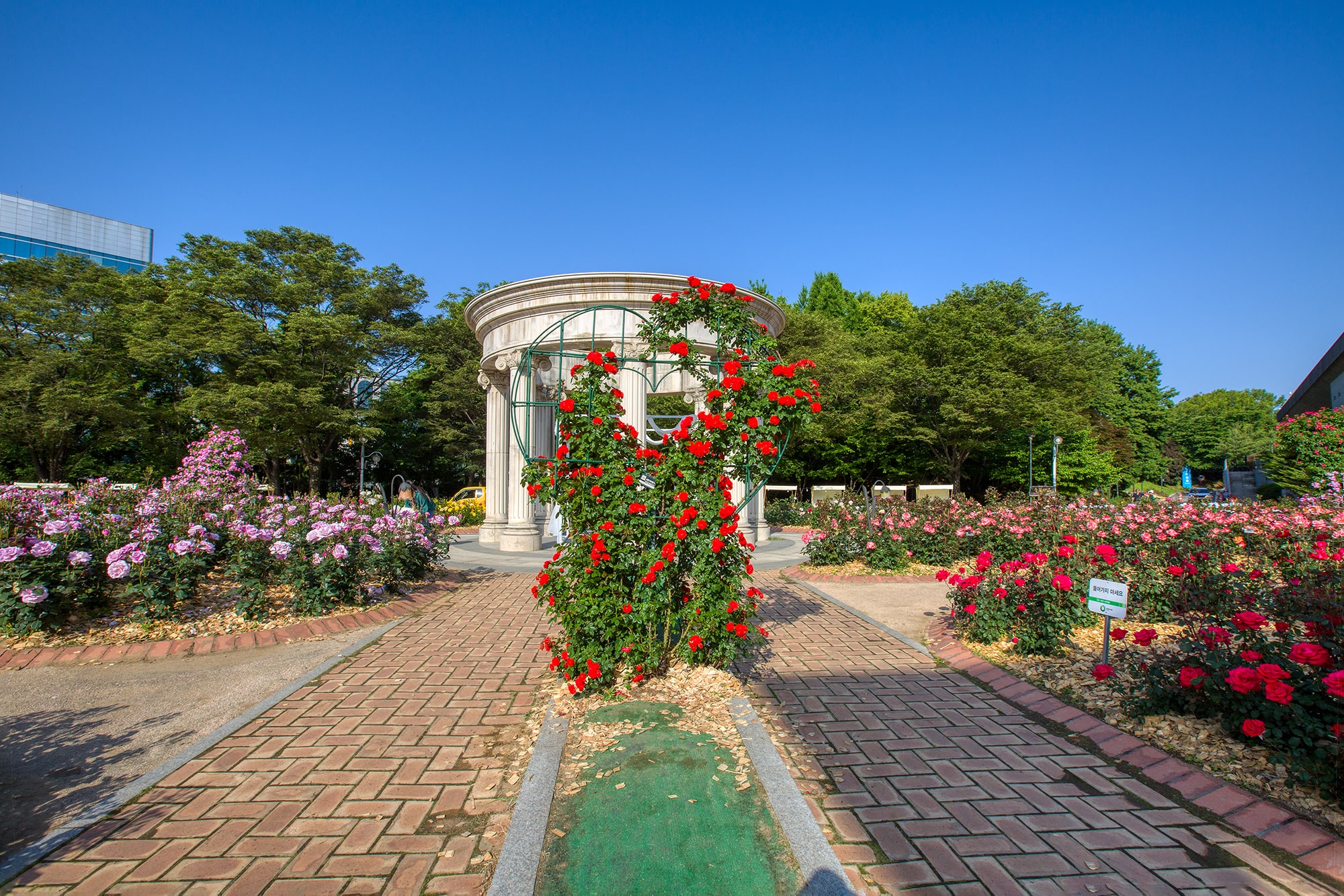 올림픽공원 장미축제 - 12