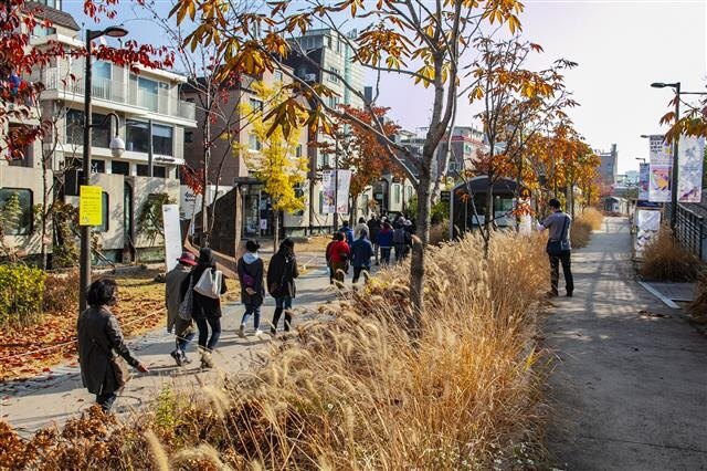 서울 도심 속 단풍 카페거리 추천! 낭만 가득한 가을 데이트 코스 4선