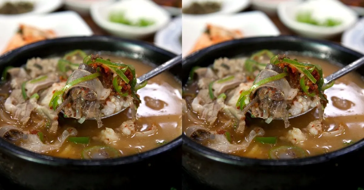 생방송 투데이 순댓국 고사리 국밥 경기 오산 맛집 소개_4
