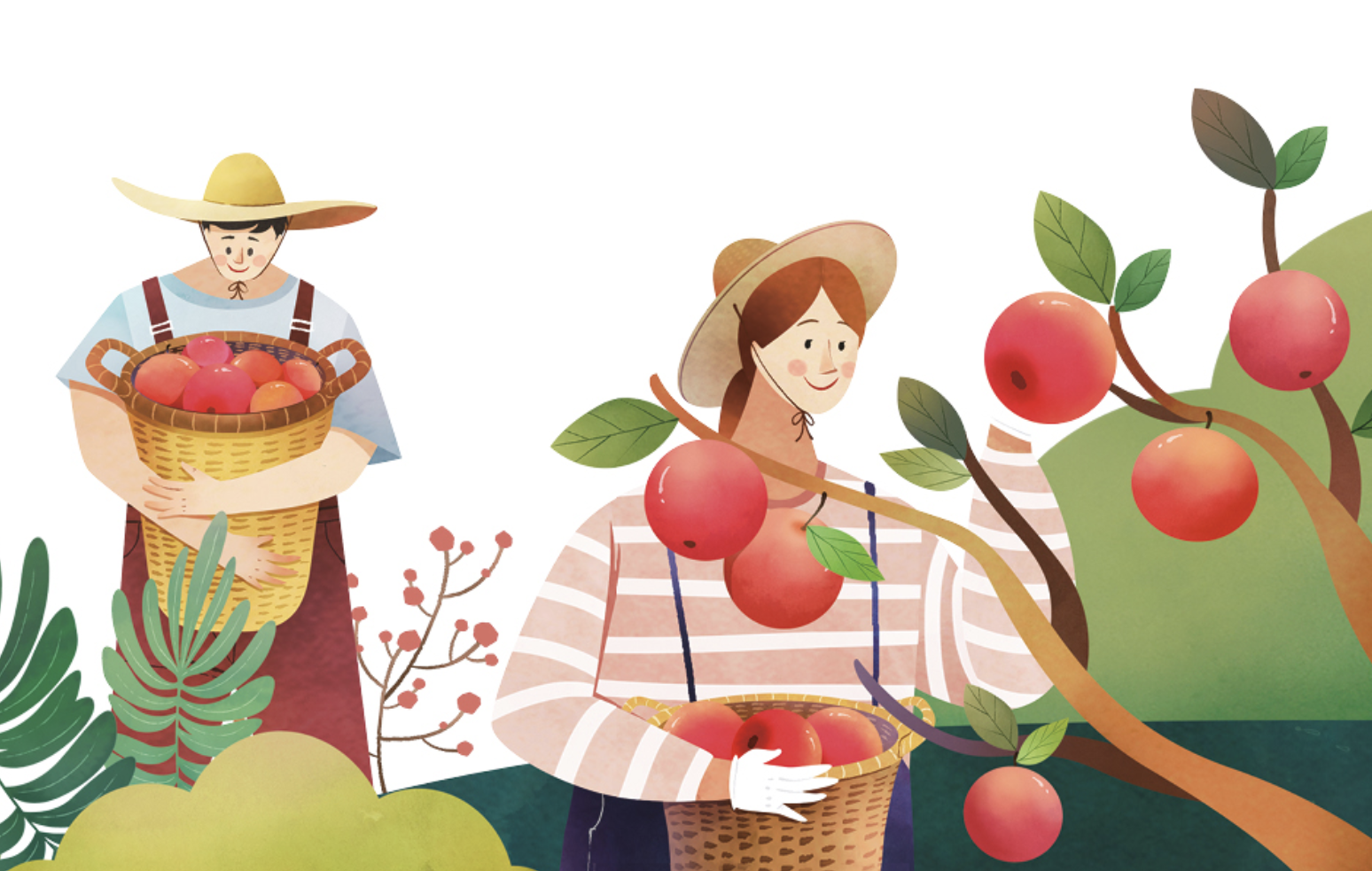 사과를 수확하는 농민