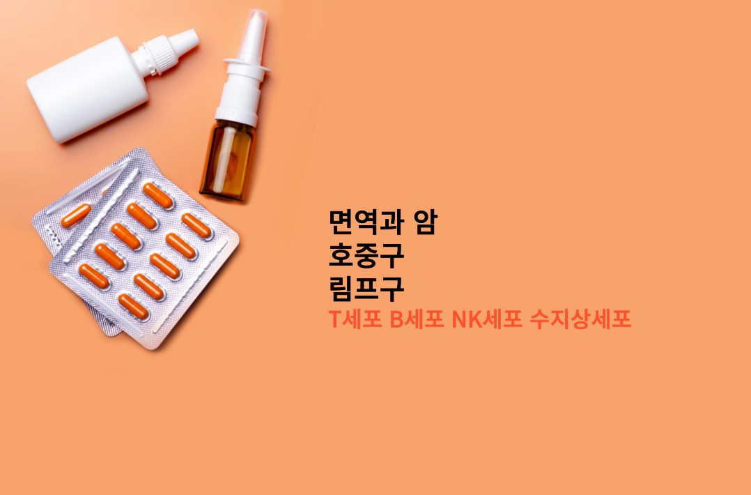 면역 암 림프구의 중요성