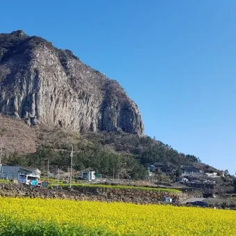 실시간 제주도 제주날씨 주간예보로_16