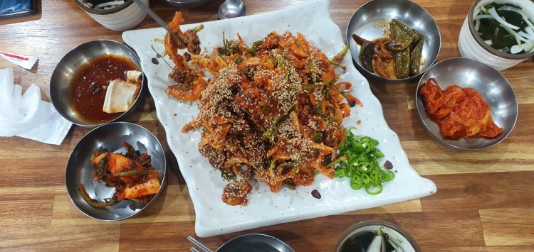 바다 향 듬뿍! 초저가 피조개 비빔밥, 꼬막 된장찌개, 피조개 파전 중랑구 중랑역 맛집 추천 생방송투데이 리얼맛집 오늘방송 맛있고 싸다고
