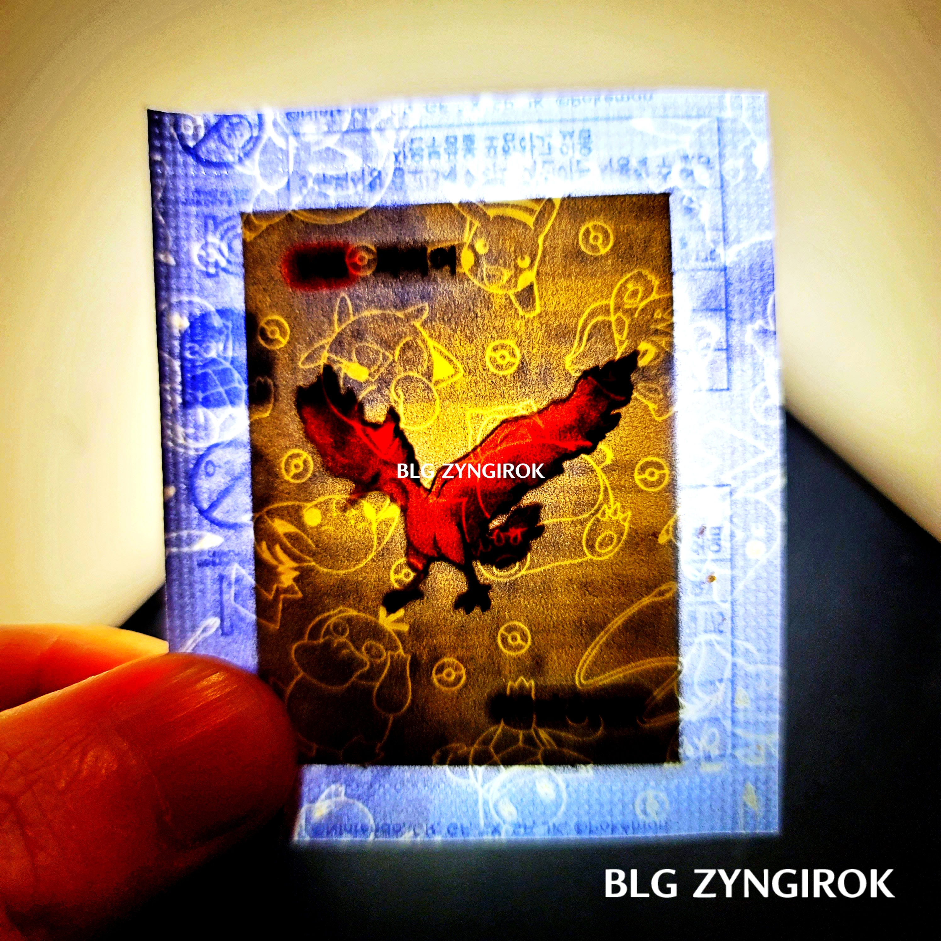 띠부띠부씰-파이어를-들고있다.