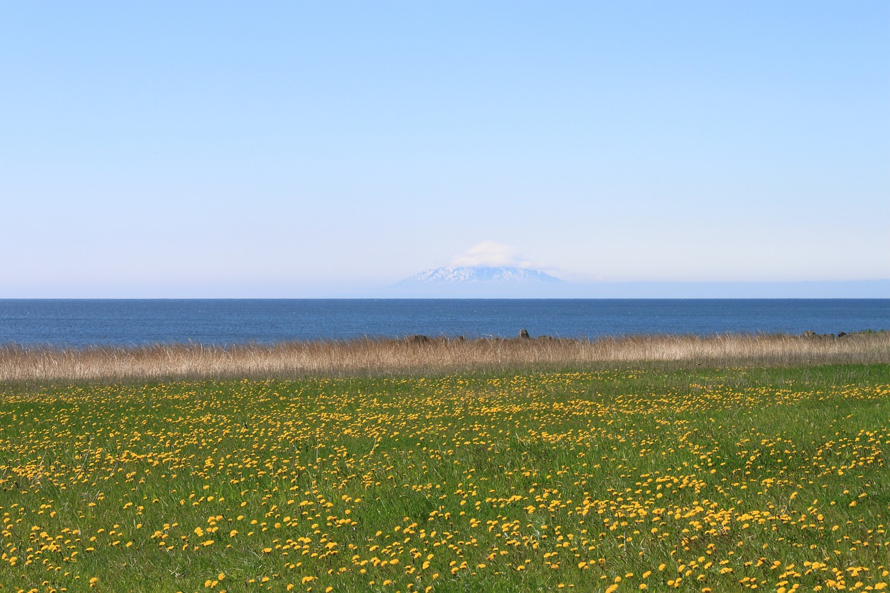 화담숲 에약방법