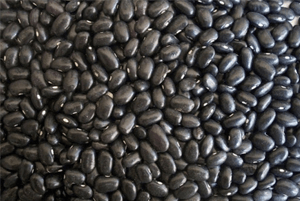 위에좋은음식16