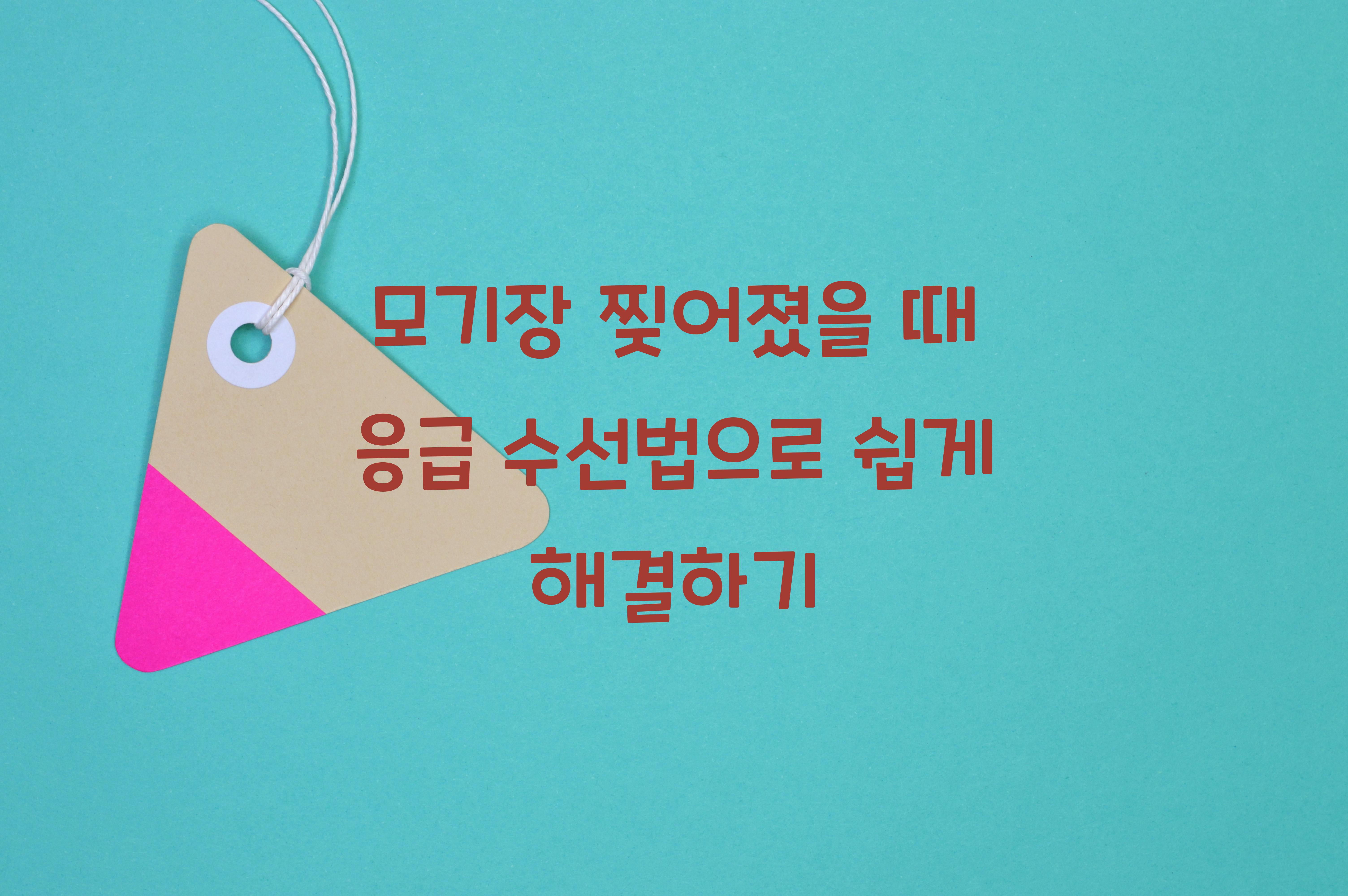 모기장 찢어졌을 때 응급 수선법