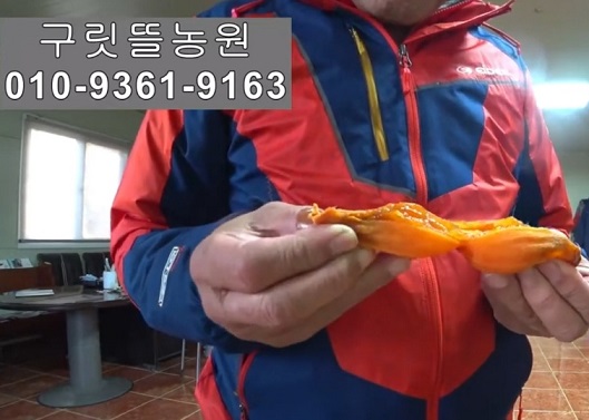 6시내고향-상주-곶감