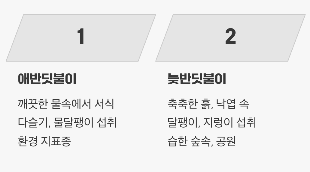 살아가는 장소가 달라요