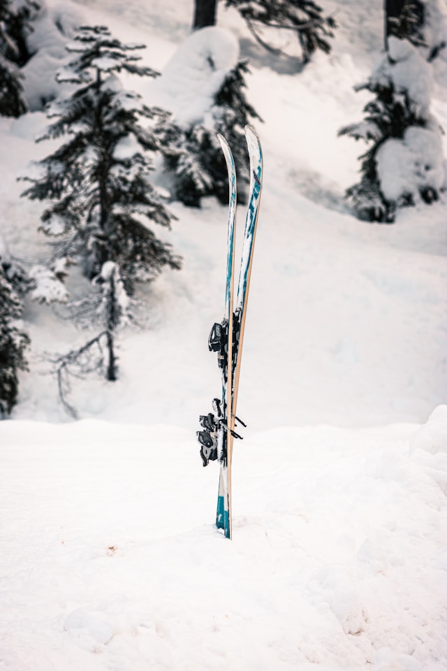 따뜻한 겨울 서울 식물원 온실 데이트 코스