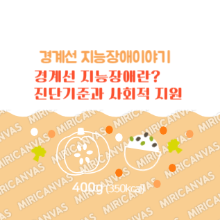 경계선 지능장애 진단 기준과 사회적 지원