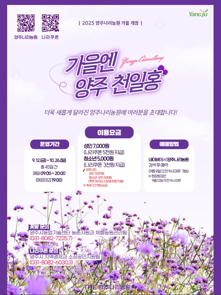 양주 나리농원 천일홍축제
