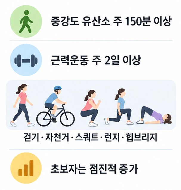 주 150분 유산소와 주 2회 이상 근력운동을 기본으로 스쿼트 런지 힙브리지를 구성한 하체 운동 안내 인포그래픽