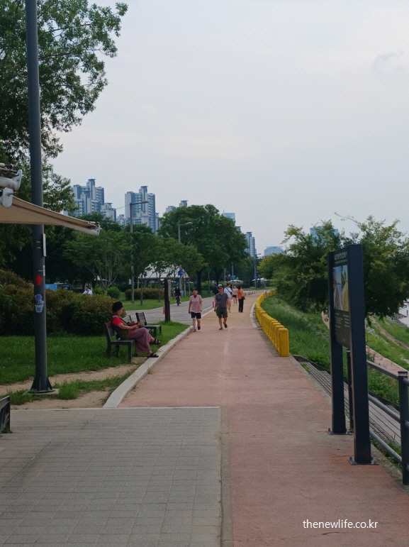 도심 공원 산책로에서 다양한 연령대가 식후 산책을 즐기는 모습