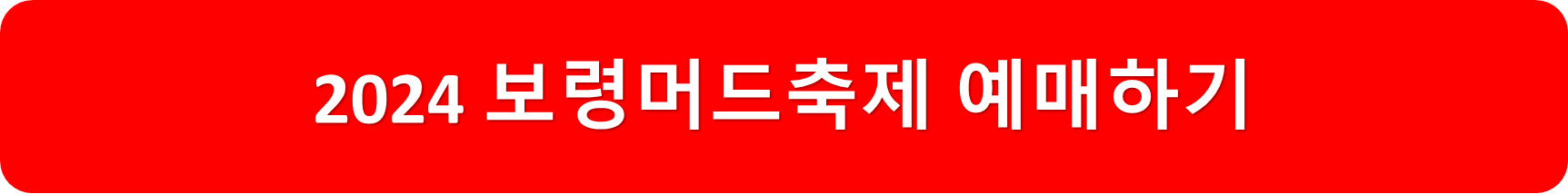 보령머드축제예매하기
