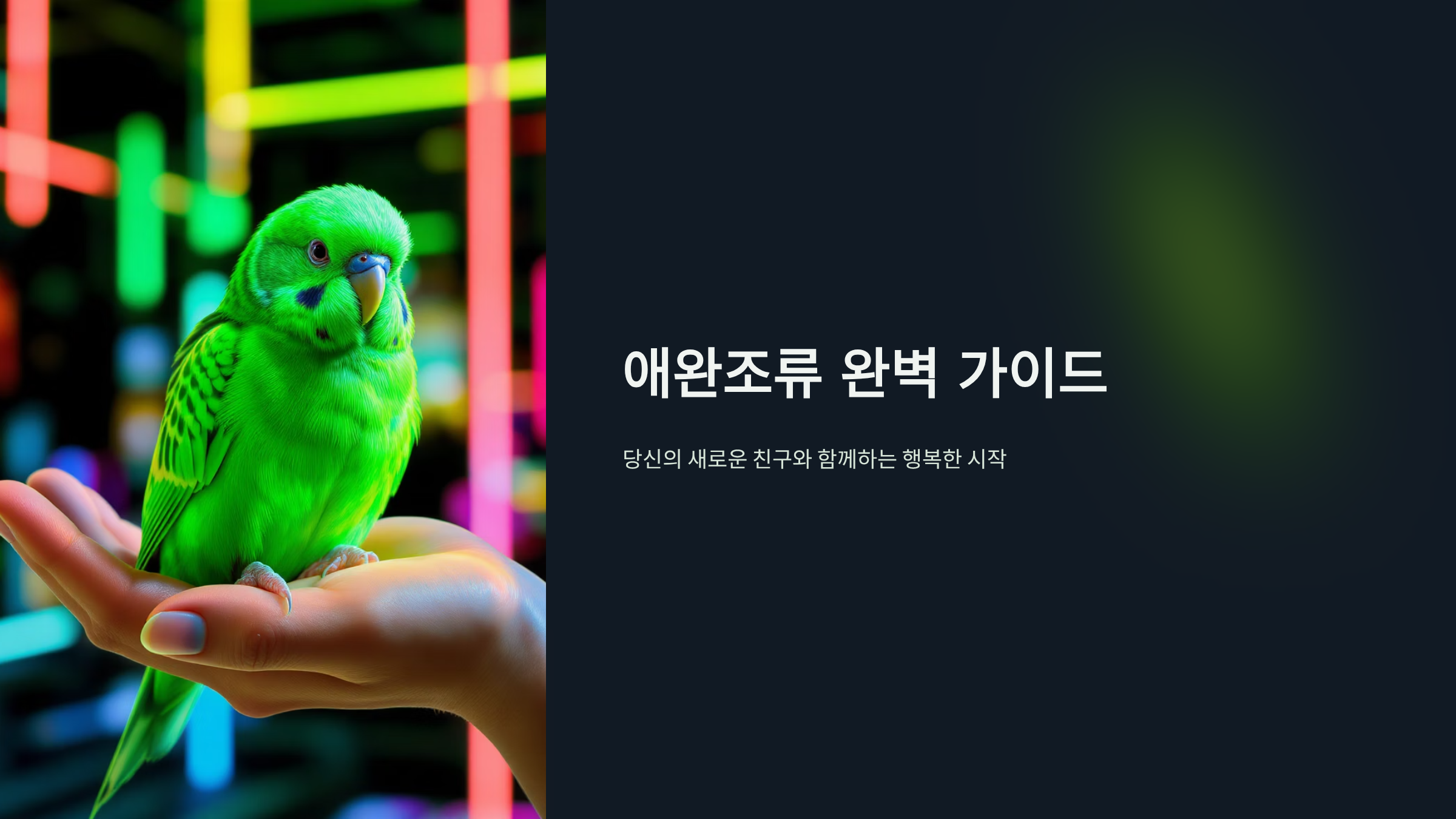 애완조류 건강관리 완벽가이드