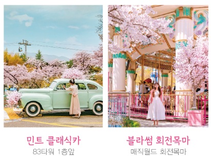 벚꽃