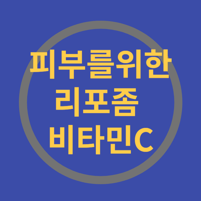 리포좀비타민C 피부