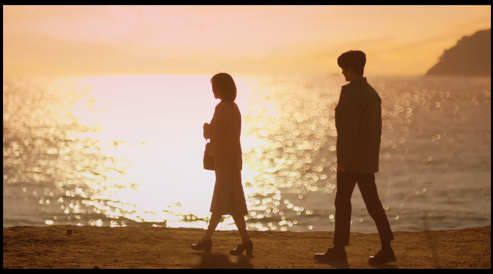 이상한 변호사 우영우 드라마 촬영지 (팽나무, 웨딩, 낙조, 제주도) 제주 돌고래 출몰지역 스팟