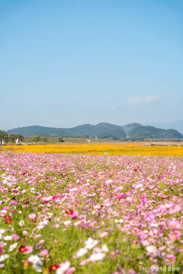 함안 가볼만한곳 베스트10