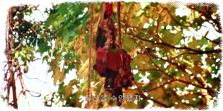 내가 얼마나 배가 고팠는지 모른다