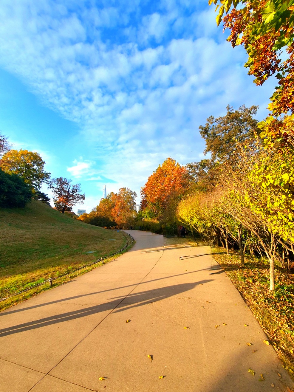 가을-산책이-너무-상쾌합니다.