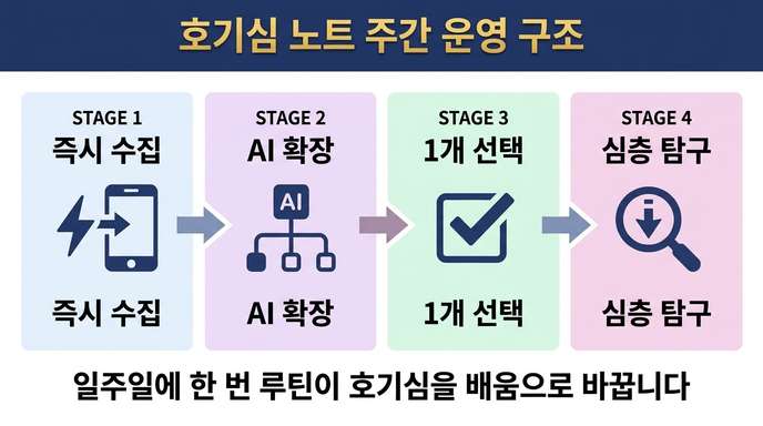 호기심 노트 주간 운영 구조