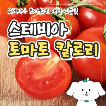 스테비아 방울토마토 칼로리 혈당 하루 섭취량_6