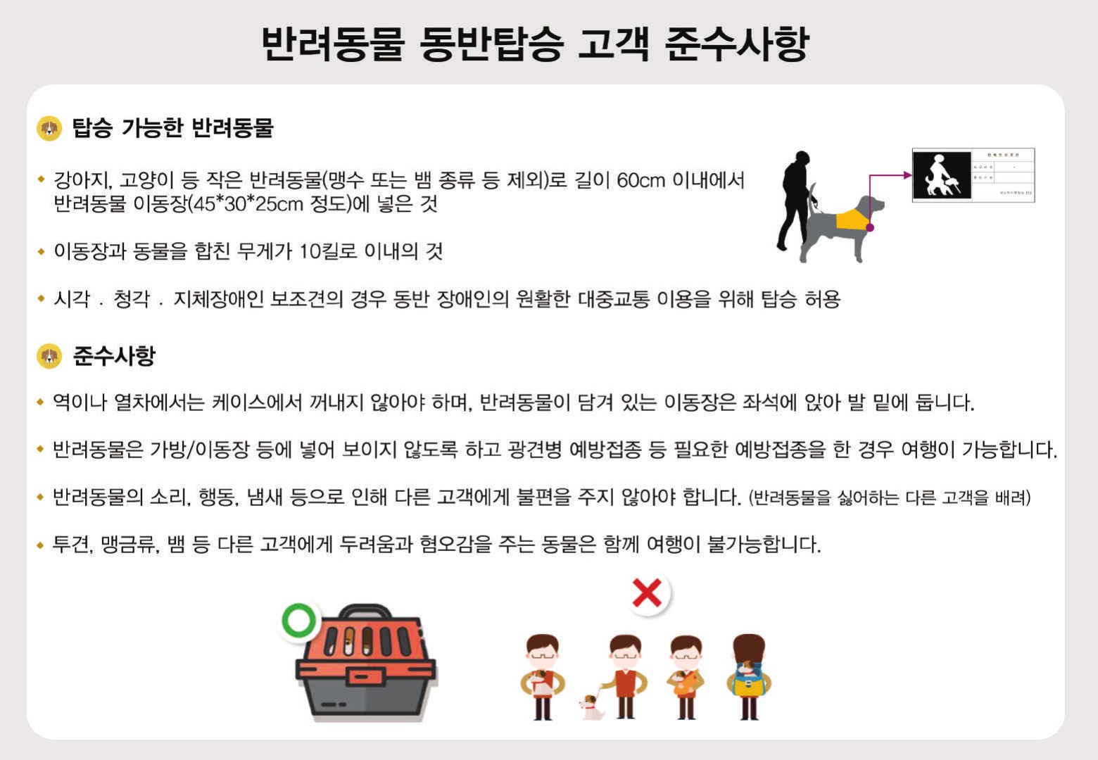 반려동물과 함께하는 대중교통