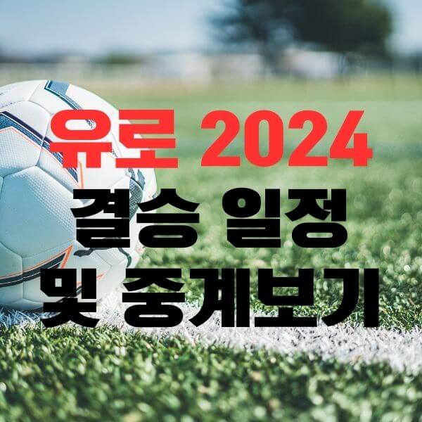 유로 2024 결승