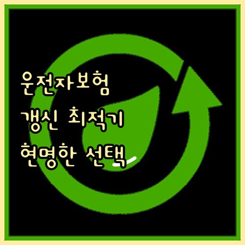 운전자보험 갱신, 지금이 최적기! 현..