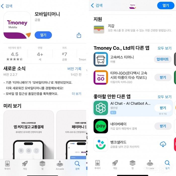 애플페이 티머니 관련 유의사항(선불, 충전 수단, 배터리, 사용 범위) 정리 이미지