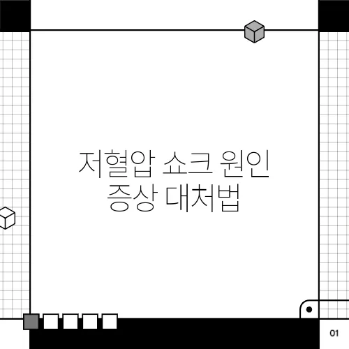 저혈압 쇼크 원인 증상 대처법