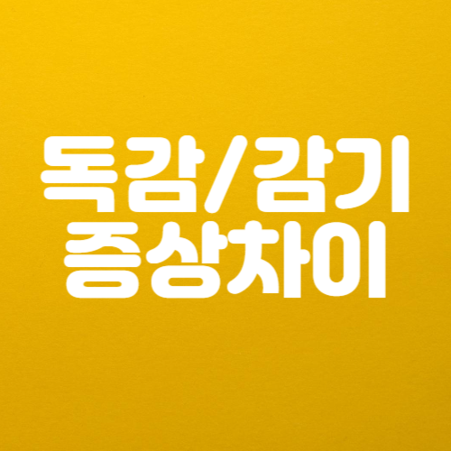 감기 독감 증상 차이