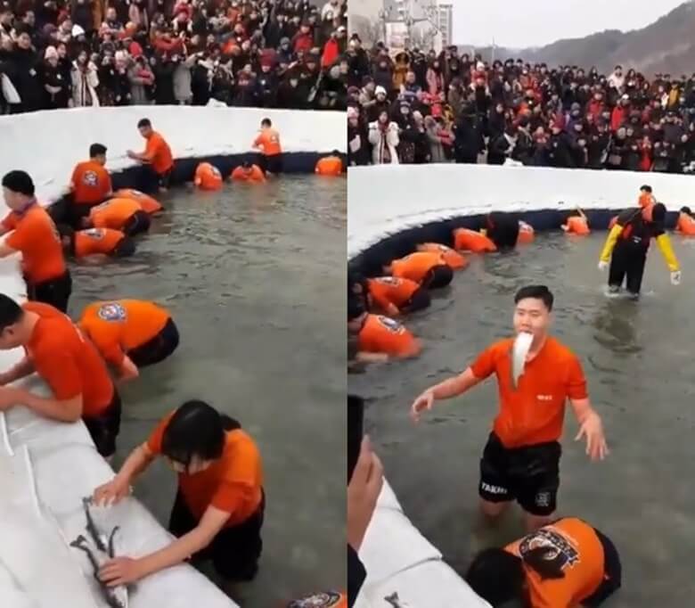 왼쪽은 수많은 관광객들이 오랜지색 반팔티와 검정색 반바지만 입고 산천어를 풀어놓은 커다란 어장속에서 한 여성이 산천어 3마리를 잡고 고기가 도망갈까봐 두손으로 고기들을 붙잡고 있는 모습이며 오른쪽은 한 남성이 산천어 한마리를 입에 물고 서서 신나하는 모습