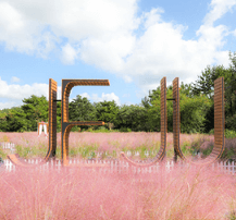 제주도 휴애리 자연생활공원 핑크뮬리 축제 9월 가을여행지 가볼만한 곳 감귤체험